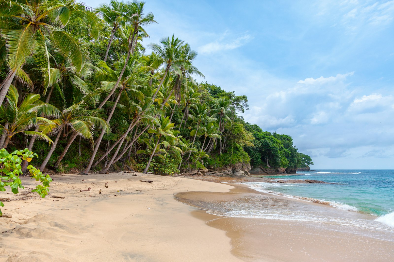 A quiet palm-lined cove on Koh Larn