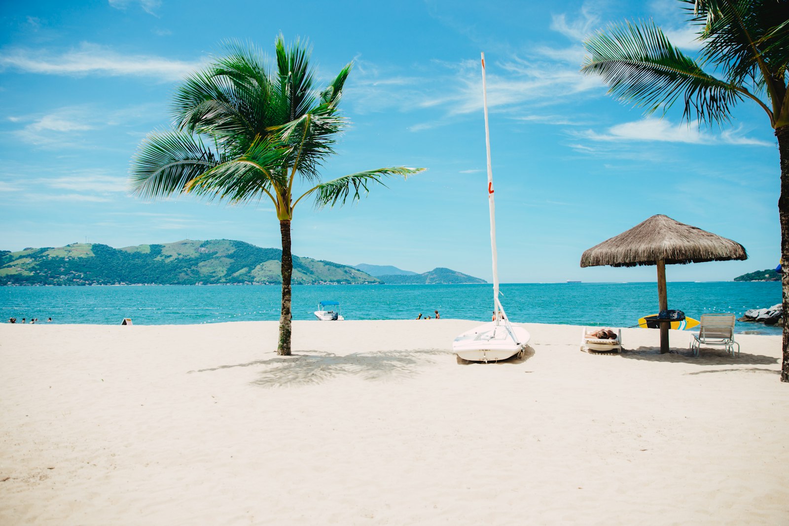 Palm tree and umbrella on a white beach