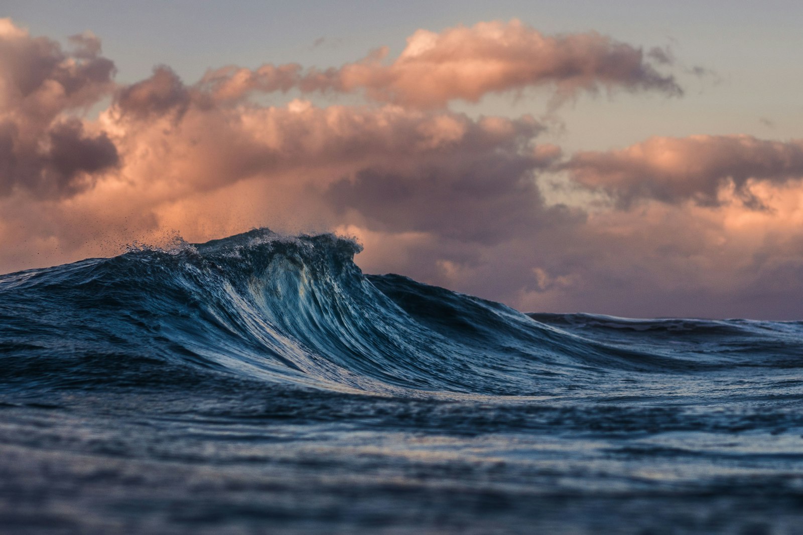 A wave crest lit by sunset